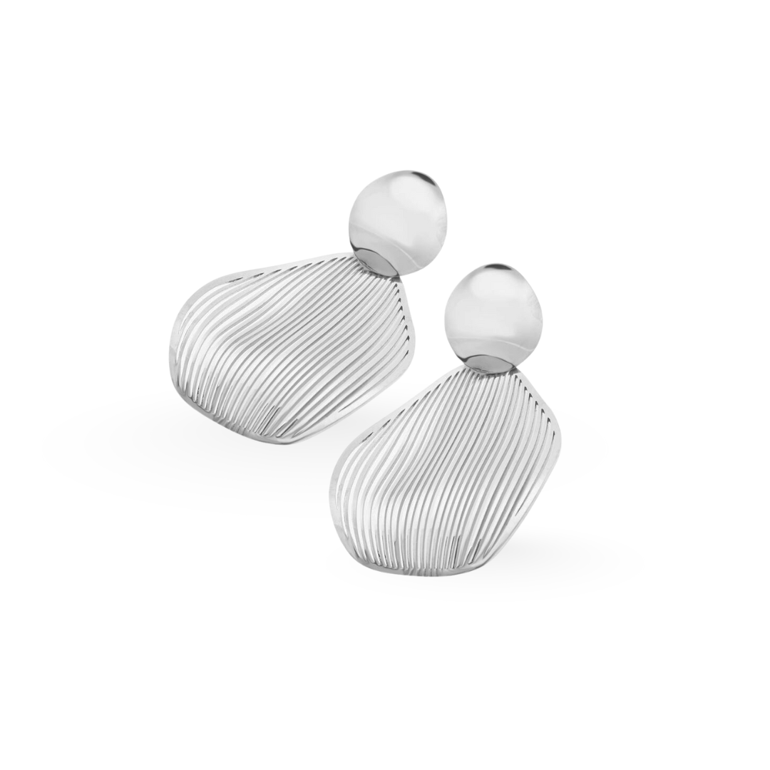 Pair of silver earrings on a white background