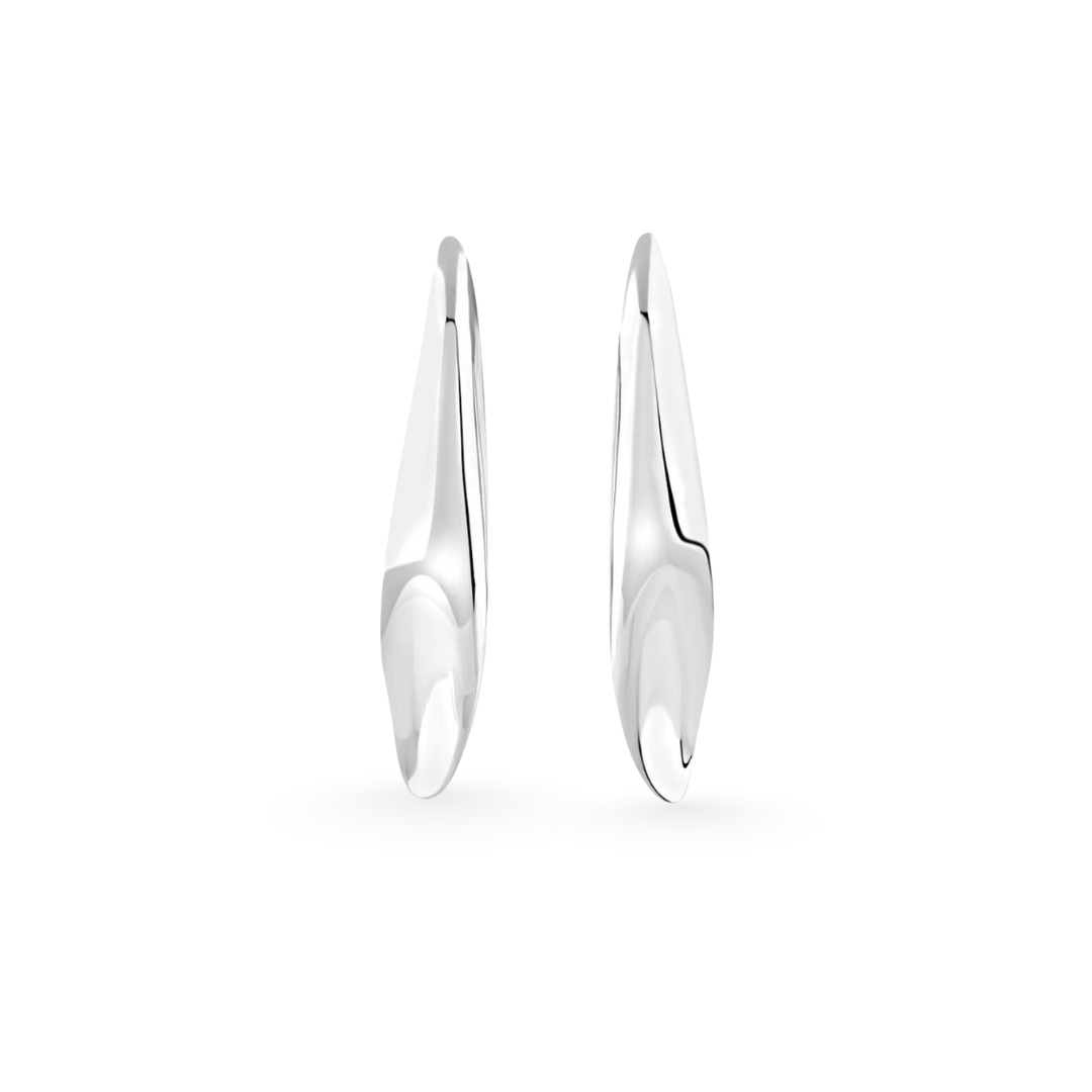 Pair of silver earrings on a white background