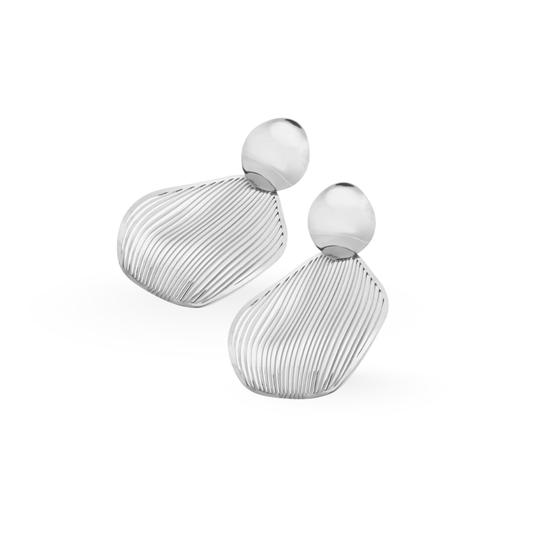 Pair of silver earrings on a white background